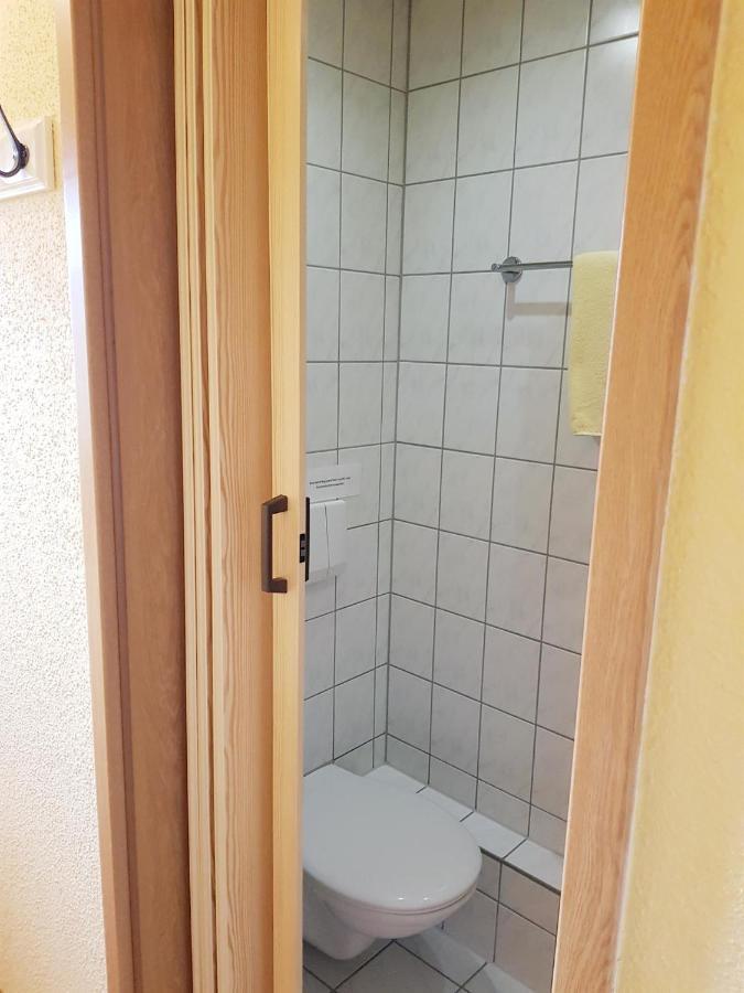Pension An Der Erzgebirgsbahn كورورت اوبرويسنثا المظهر الخارجي الصورة